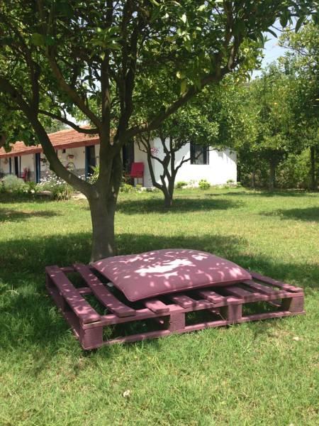 Cirali Friends Pension&Camping Εξωτερικό φωτογραφία
