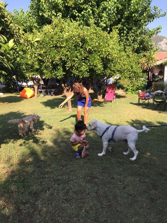 Cirali Friends Pension&Camping Εξωτερικό φωτογραφία