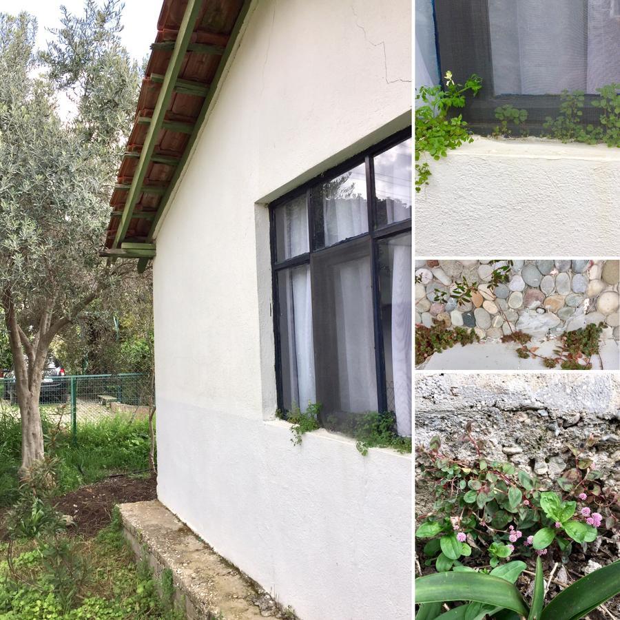 Cirali Friends Pension&Camping Εξωτερικό φωτογραφία
