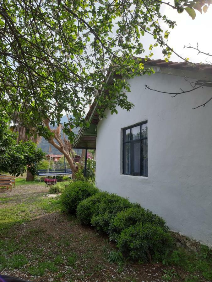 Cirali Friends Pension&Camping Εξωτερικό φωτογραφία